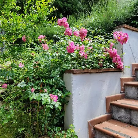 Mansarda In بيرودجا